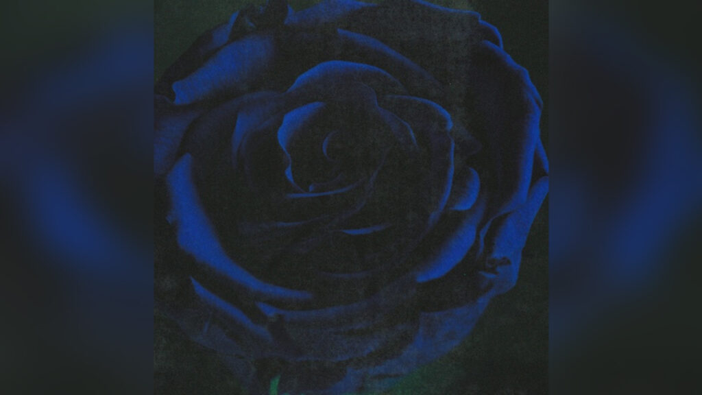 IMMINENCE 'Ghost (Acoustic) - EP' - COVER PHOTO