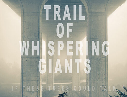 If These Trees Could Talk “Trail of Whispering Giants”