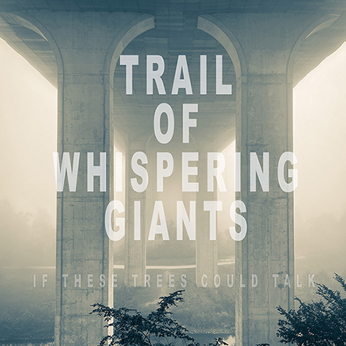 If These Trees Could Talk “Trail of Whispering Giants”