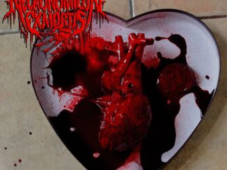 NECRONOMICON EX MORTIS’ Love Holiday Video “My Bloody Valentine” Brings Back The Gory Days of Slashers, Raw Death And Wailing Solos!