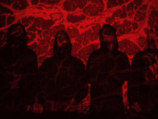 CORPUS OFFAL: New Seattle Death Metal Act Rises From The Ashes Of Cerebral Rot; Demo 2024 Out Today On 20 Buck Spin