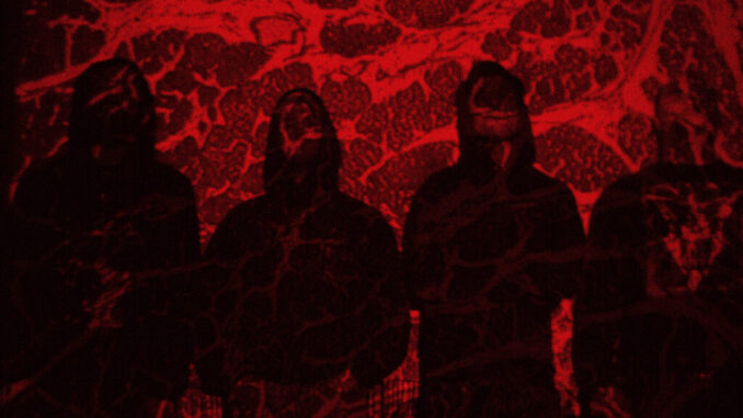 CORPUS OFFAL: New Seattle Death Metal Act Rises From The Ashes Of Cerebral Rot; Demo 2024 Out Today On 20 Buck Spin