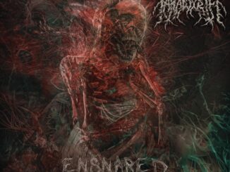 EPK – Paradox Rift – Ensnared (2024)