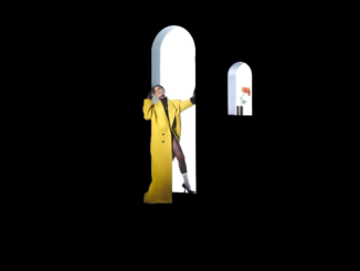 ST. VINCENT: NEW SINGLE, âFLEA,â OUT NOW