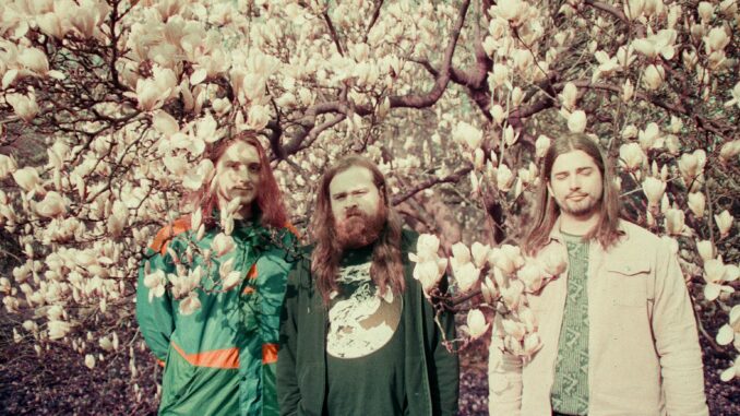 Out Now! IVY GARDENS’ New Album âGoonâ + Canadian Tour (ON, QC, NB, NS, PEI)