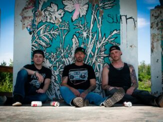 SUPERMODEL TAXIDERMY Unleashes Limited Edition Skateboards For New Album âAt What Costâ