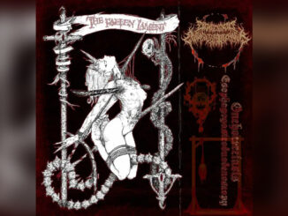 ONCHOCERCIASIS ESOPHAGOGASTRODUODENOSCOPY 'The Fall Lament' - COVER PHOTO