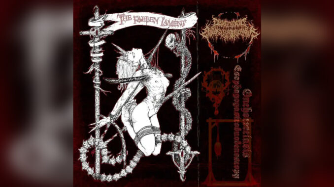 ONCHOCERCIASIS ESOPHAGOGASTRODUODENOSCOPY 'The Fall Lament' - COVER PHOTO