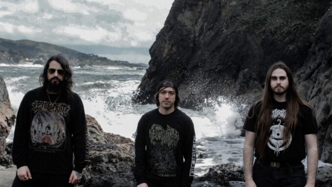 VILE RITES: Decibel Magazine Premieres Senescence Full-Length From Progressive Death Metal Trio; Record To Drop Friday August 16th On Carbonized Records VILE RITES: Decibel Magazine Premieres Senescence Full-Length From Progressive Death Metal Trio; Record To Drop Friday August 16th On Carbonized Records