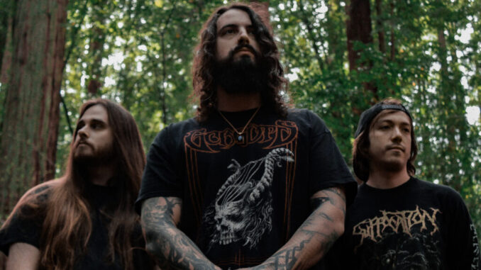 VILE RITES: Progressive Death Metal Trio Unveils âOnly Silence Followsâ Video; Senescence Full-Length Out Now Carbonized Records VILE RITES: Progressive Death Metal Trio Unveils âOnly Silence Followsâ Video; Senescence Full-Length Out Now Carbonized Records