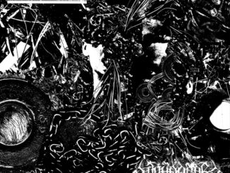 YATSU And WANDERER To Release Split 7-Inch EP Via The Ghost Is Clear Records And Mummified Gasp Records December 20th; Songs Streaming + Preorders Posted