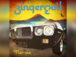 GINGER EVIL 'Flames - Single' - COVER PHOTO
