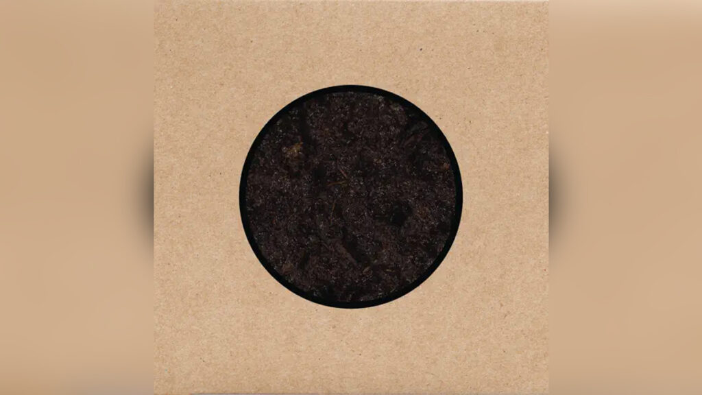 SWANS 'Birthing' - COVER PHOTO