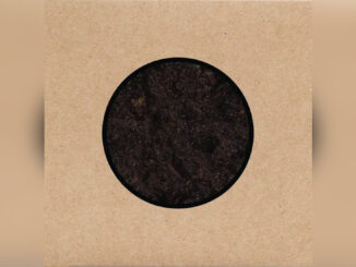 SWANS 'Birthing' - COVER PHOTO