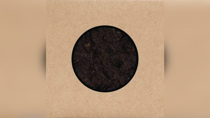 SWANS 'Birthing' - COVER PHOTO