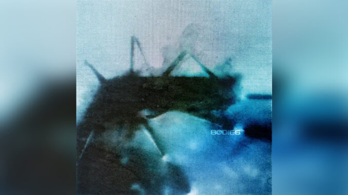 THORNHILL 'Bodies' - COVER PHOTO THORNHILL 'Bodies' - COVER PHOTO