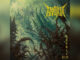 ANOXIA 'Revel In Sin' - COVER PHOTO