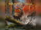 HEAVEN SHALL BURN 'Heimat' - COVER PHOTO