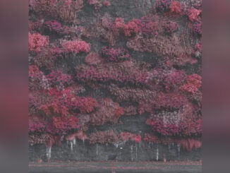 SLEEP TOKEN 'Even In Arcadia' - COVER PHOTO