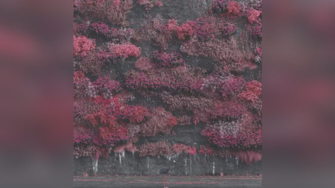 SLEEP TOKEN 'Even In Arcadia' - COVER PHOTO