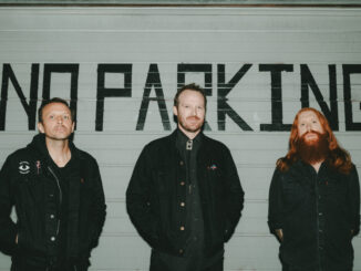 IN THE COMPANY OF SERPENTS: Decibel Magazine Premieres âA Patchwork Artâ Video/Single From Denver Doom Bringers; A Crack In Everything Nears Release