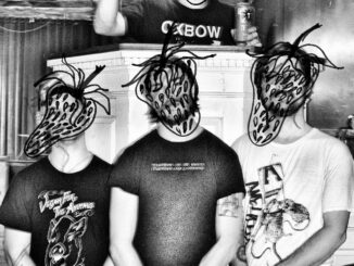 PRAYER GROUP: Lambgoat Premieres âPR Nightmareâ Video From Richmond Noise Rock/Hardcore Punk Act; Strawberry MLP Nears August 29th Release On Reptilian Records