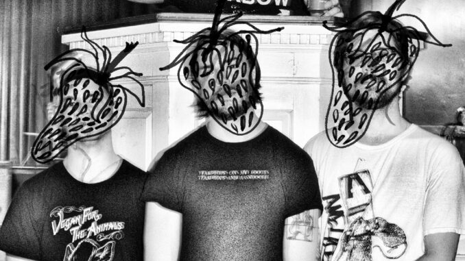 PRAYER GROUP: Lambgoat Premieres âPR Nightmareâ Video From Richmond Noise Rock/Hardcore Punk Act; Strawberry MLP Nears August 29th Release On Reptilian Records