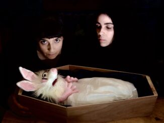 MELLOWDEATH: German Nightmare Jazz Duo Drops New Track â1772â As Eponymous Debut Album Nears November 14th Release