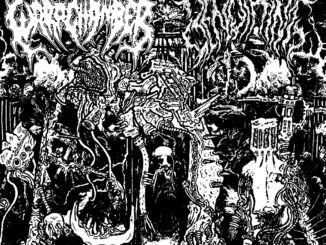 WARP CHAMBER / BENOTHING: Two-Song Split Out Now And Streaming On Carbonized Records