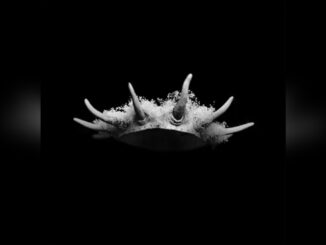 THE PLOT IN YOU 'FEEL NOTHING - Single (RESET)' - Cover Photo