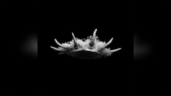 THE PLOT IN YOU 'FEEL NOTHING - Single (RESET)' - Cover Photo