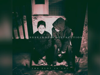 THE PLOT IN YOU 'Happiness in Self Destruction' - Cover Photo