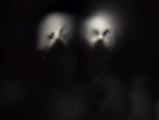 MY HEART, AN INVERTED FLAME: Atmospheric Synth-Doom Duo To Release Second Album, My Death Is More Beautiful Than Your Life, May 15th Via Crucial Blast; Single And Preorders Posted