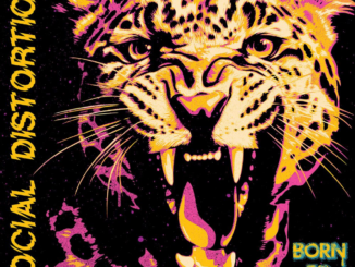 SOCIAL DISTORTION: New Single, âPartners In Crime,â Out Now