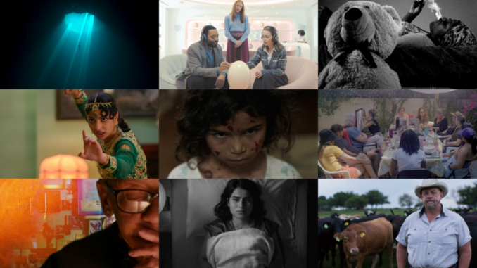 2023 Sundance Film Festival Local Lens program official film collage
