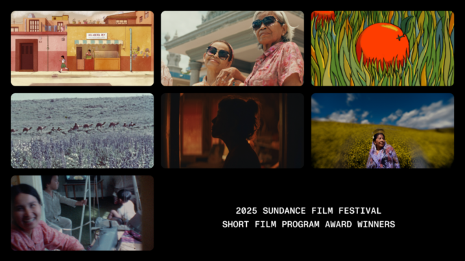 2025 Sundance Film Festival Short Film Program award winners