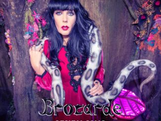 BROCARDE — Seven Sins featuring Ray Luzier cover artwork