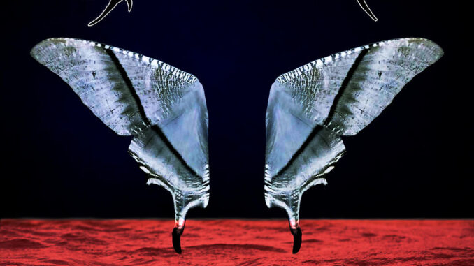 DECEIVER - It Must Be Done album cover by Jaclyn Tan and Aaraashi Kumaran