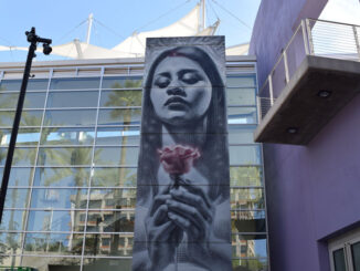Desert Rose mural at Mesa Arts Center in Mesa, Arizona