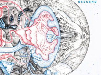 DOMKRAFT / SLOMATICS – Ascend/Descend split album cover