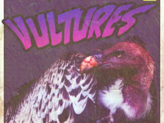 FRACTURES & OUTLINES – Vultures single artwork