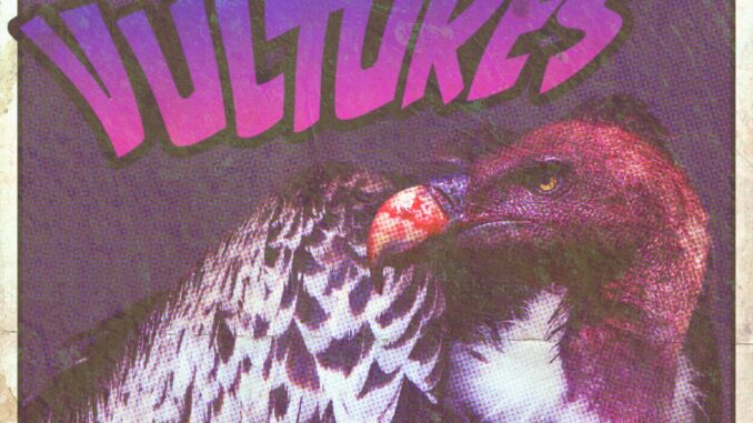 FRACTURES & OUTLINES – Vultures single artwork