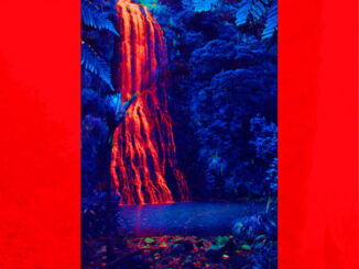 FUZZ MEADOWS – Orange Sunshine album artwork