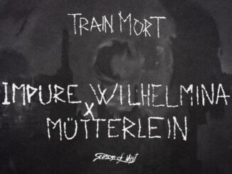 IMPURE WILHELMINA — “Train mort” official visualizer for Le sanglot