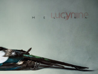LUCYNINE Melena album cover artwork by Sergio Bertani