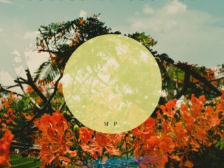 Matthew Pinder – Seated In The Sun EP artwork