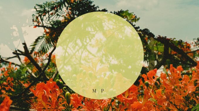 Matthew Pinder – Seated In The Sun EP artwork
