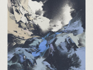 MYTHIC SUNSHIP Light/Flux album cover