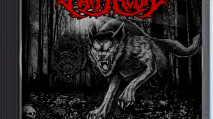 PANTHEON Age of Wolves album artwork