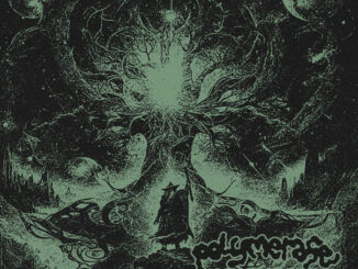POLYMERASE - Mindspace album cover